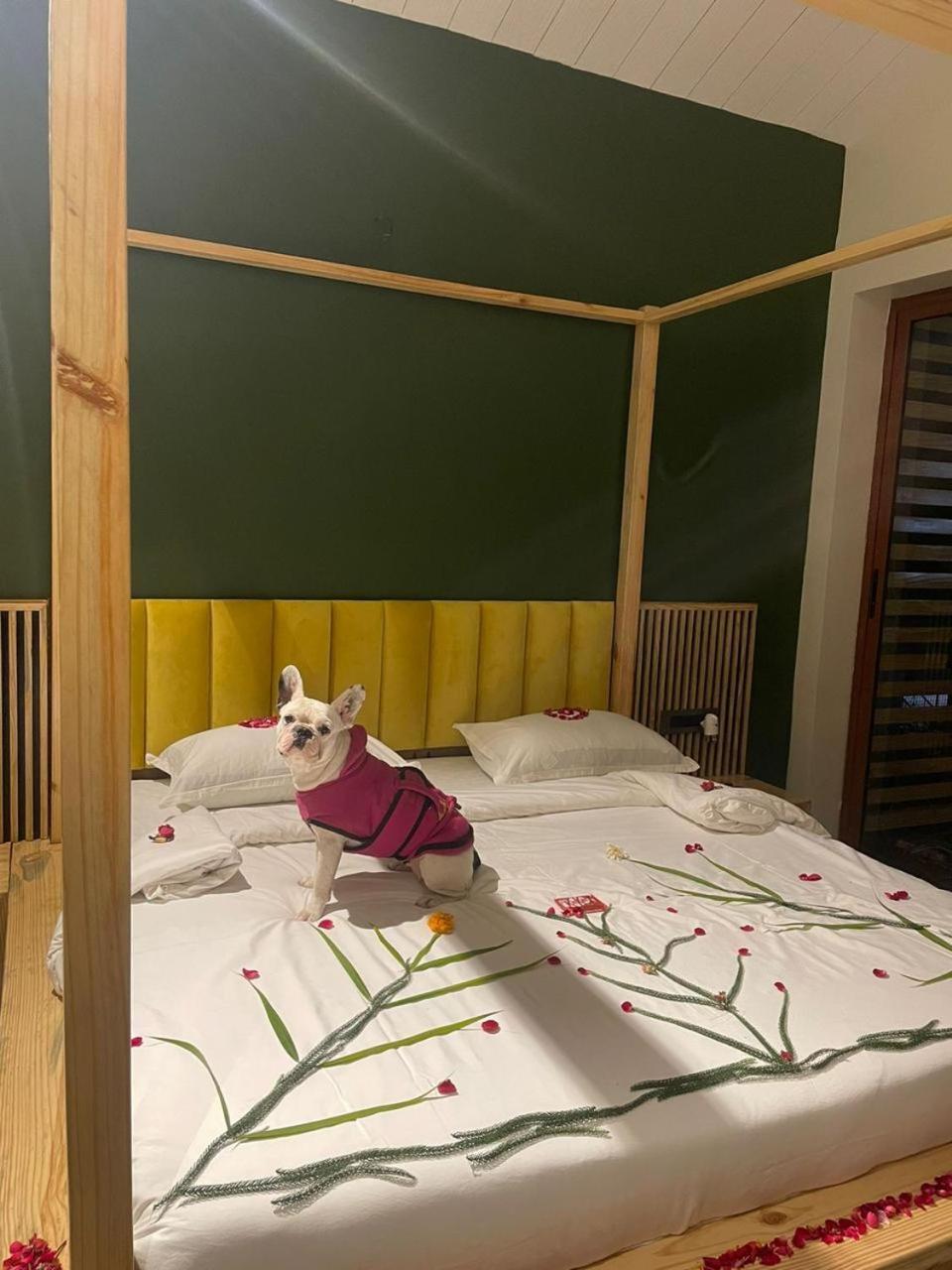 Rawai Luxury Tents Pushkar Exterior photo